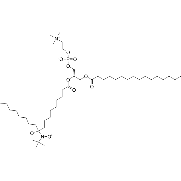 16:0-10 Doxyl PC 188004-25-3